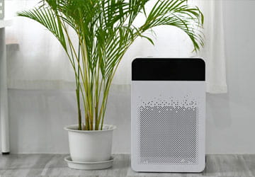Air filtration unit on a home next to a plant